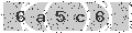 verify code